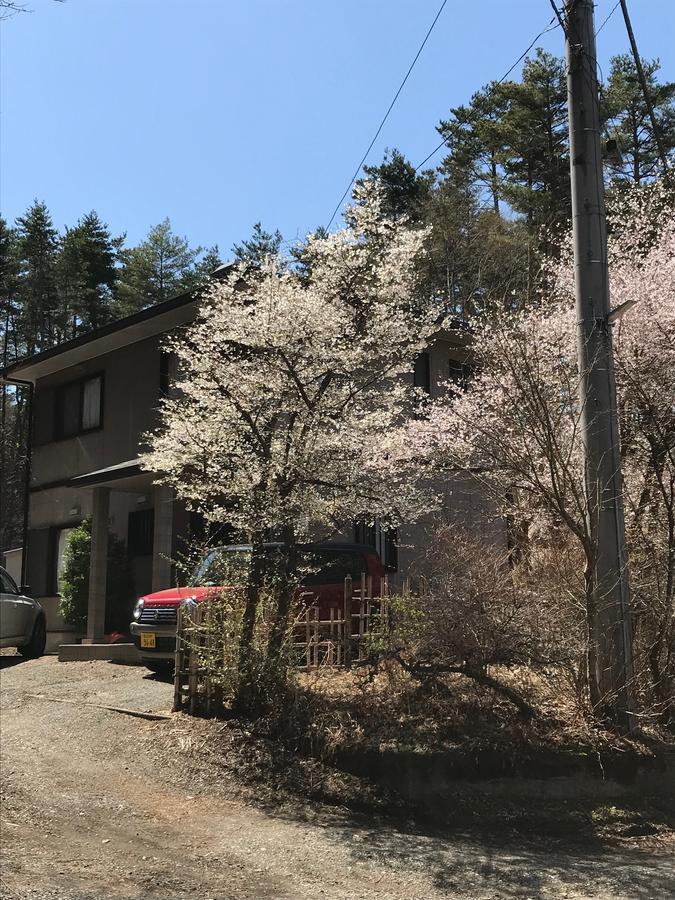 Forest Kiki Lodge