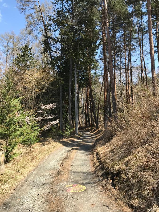 Forest Kiki 富士吉田市